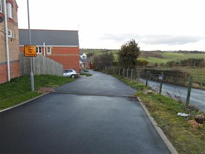 Picture 8